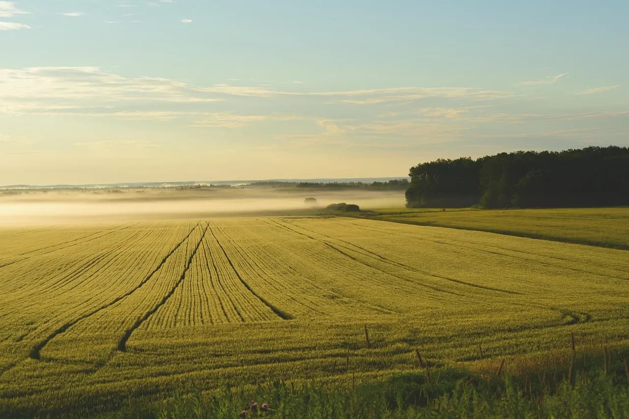 Farm land